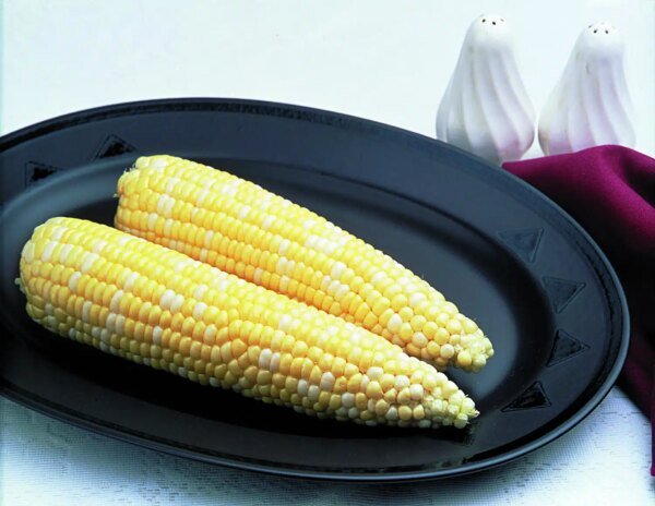 HBD Happy Birthday Gilter Hanger 1Packet