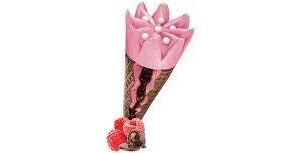 Arun Raspberry Chocolate Truffle 40 GM-mrp-35-osp-35