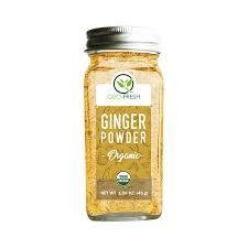 Geo Fresh Ginger Powder 40G-mrp-120-osp-100