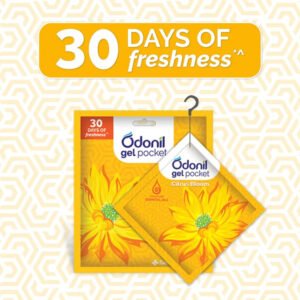 Odonil Gel Pocket Citrus Bloom 10 GM