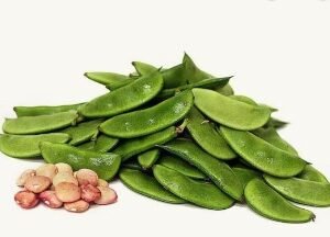 Greens 4 You Val 500 GM