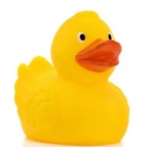 Toy Small Duck 1PC