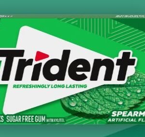 Trident Speamint 14 PCS