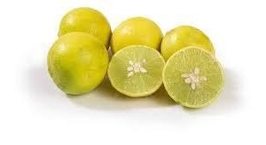 Veg Lemon 250 GM-mrp-45-osp-45