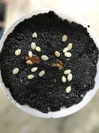 Jalaram Black Kachariyu 250G-mrp-100-osp-95