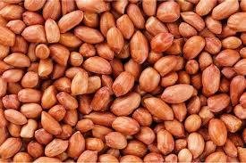 Kachi Singh RES 1 KG-mrp-135-osp-135