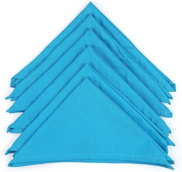 Napkin Aqua Shades 16X24 3PC