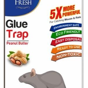 Wonder Fresh Glue Trap Peanut Butter