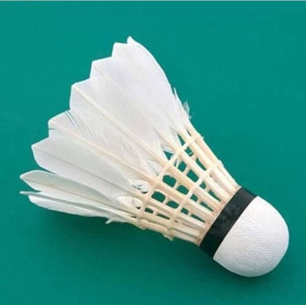 Eagle Feather Cock 1PC