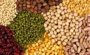 DAL AND PULSES