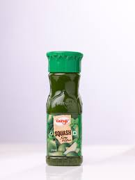 Shree Guruji Squash Kery Pudina 50ML